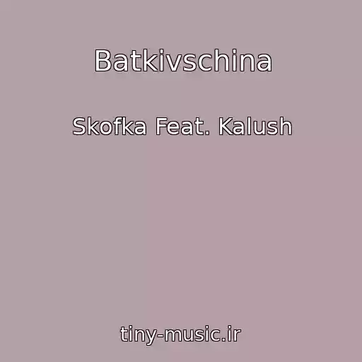 کاور آهنگ Batkіvschina از Skofka Feat. Kalush