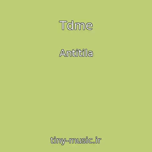 کاور آهنگ Tdme از Antitіla
