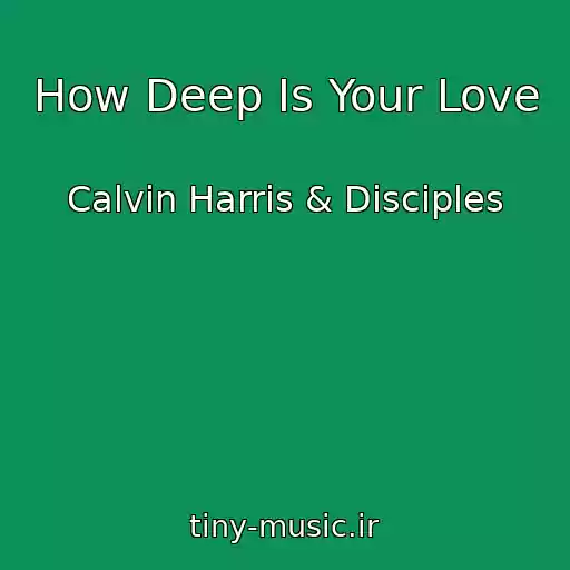 کاور آهنگ How Deep Is Your Love از Calvin Harris & Disciples