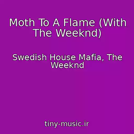 کاور آهنگ Moth To A Flame (With The Weeknd) از Swedish House Mafia, The Weeknd