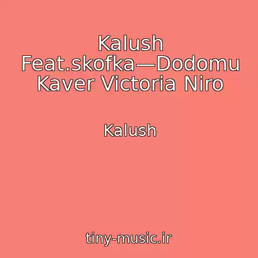کاور آهنگ Kalush Feat.skofka—Dodomu Kaver Victoria Niro از Kalush