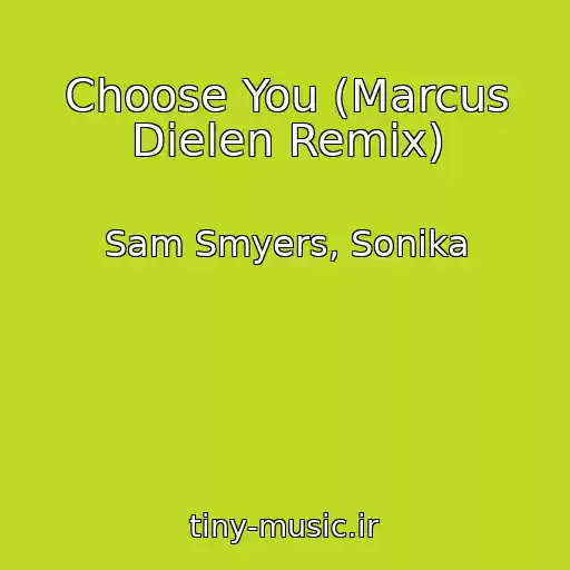 کاور آهنگ Choose You (Marcus Dielen Remix) از Sam Smyers, Sonika