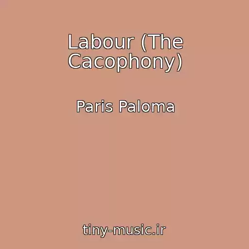 کاور آهنگ Labour (The Cacophony) از Paris Paloma