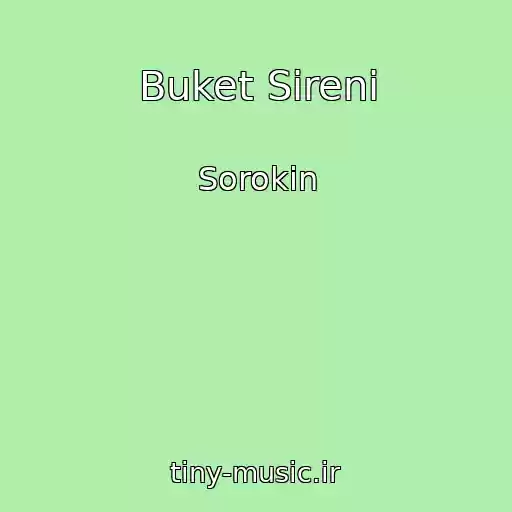کاور آهنگ Buket Sireni از Sorokin