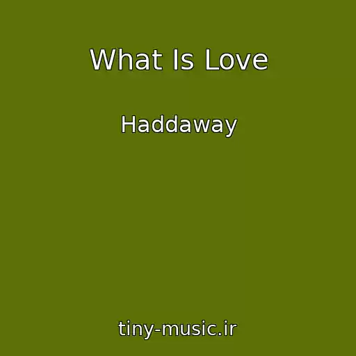 کاور آهنگ What Is Love از Haddaway