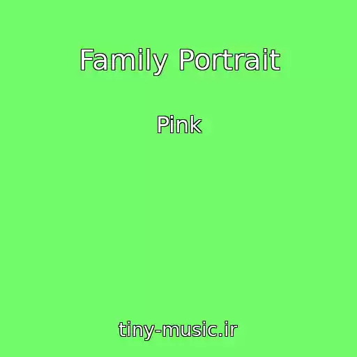 کاور آهنگ Family Portrait از Pink