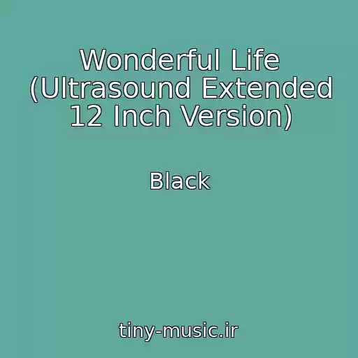 کاور آهنگ Wonderful Life (Ultrasound Extended 12 Inch Version) از Black