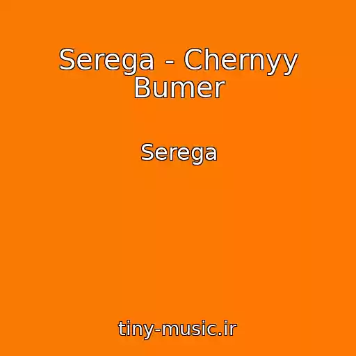 کاور آهنگ Serega - Chernyy Bumer از Serega