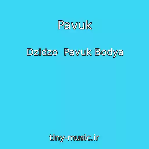 کاور آهنگ Pavuk از Dzіdzo  Pavuk Bodya