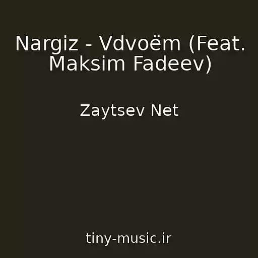 کاور آهنگ Nargiz - Vdvoëm (Feat. Maksim Fadeev) از Zaytsev Net