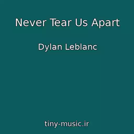 کاور آهنگ Never Tear Us Apart از Dylan Leblanc