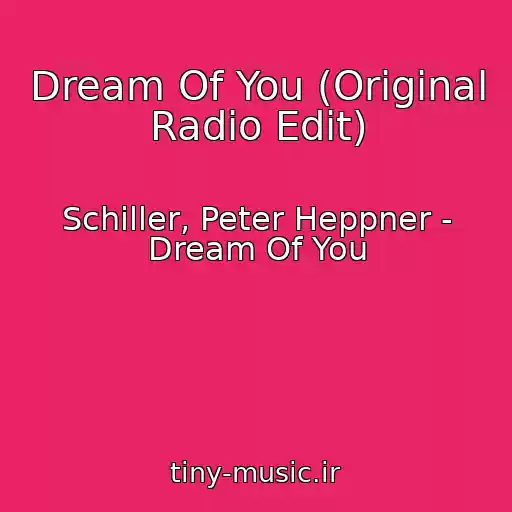 کاور آهنگ Dream Of You (Original Radio Edit) از Schiller, Peter Heppner - Dream Of You