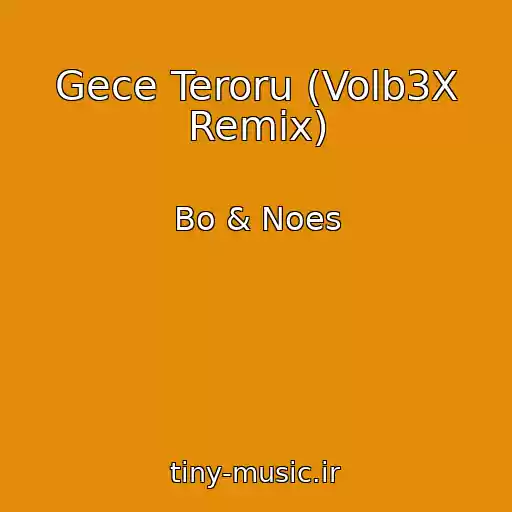 کاور آهنگ Gece Teroru (Volb3X Remix) از Bo & Noes
