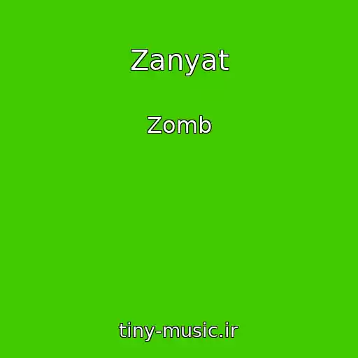 کاور آهنگ Zanyat از Zomb