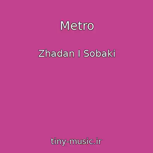 کاور آهنگ Metro از Zhadan І Sobaki