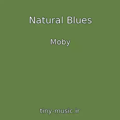کاور آهنگ Natural Blues از Moby