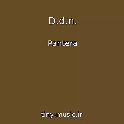 کاور آهنگ D.d.n. از Pantera