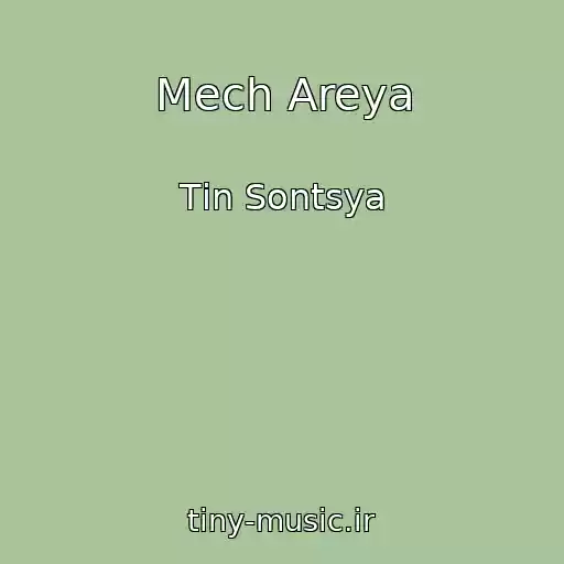 کاور آهنگ Mech Areya از Tіn Sontsya
