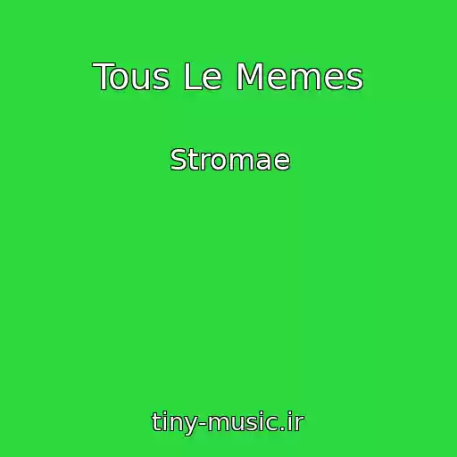 کاور آهنگ Tous Le Memes از Stromae