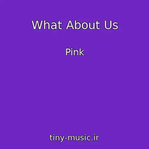 کاور آهنگ What About Us از Pink