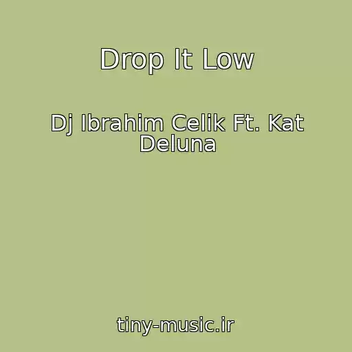 کاور آهنگ Drop It Low از Dj Ibrahim Celik Ft. Kat Deluna