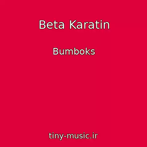 کاور آهنگ Beta Karatin از Bumboks