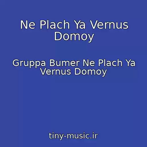 کاور آهنگ Ne Plach Ya Vernus Domoy از Gruppa Bumer Ne Plach Ya Vernus Domoy