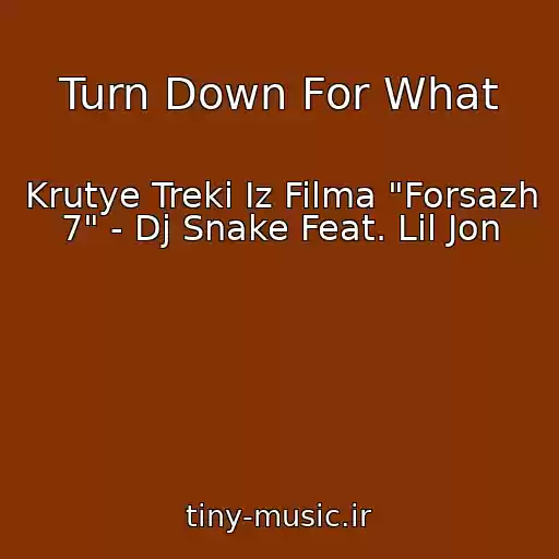 کاور آهنگ Turn Down For What از Krutye Treki Iz Filma "Forsazh 7" - Dj Snake Feat. Lil Jon