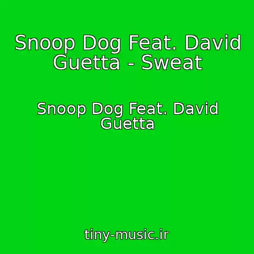 کاور آهنگ Snoop Dog Feat. David Guetta - Sweat از Snoop Dog Feat. David Guetta