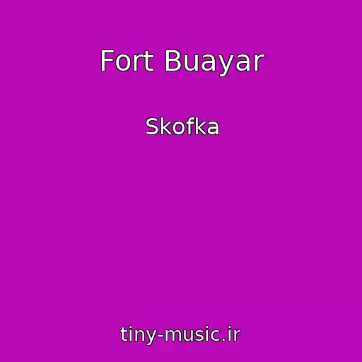کاور آهنگ Fort Buayar از Skofka
