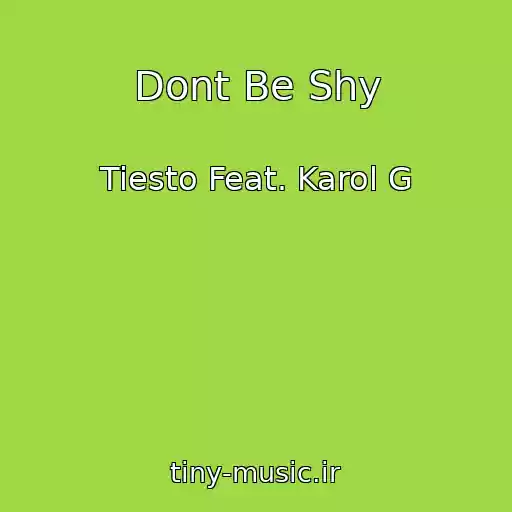 کاور آهنگ Dont Be Shy از Tiesto Feat. Karol G