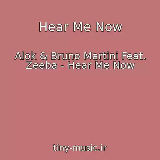 کاور آهنگ Hear Me Now از Alok & Bruno Martini Feat. Zeeba - Hear Me Now