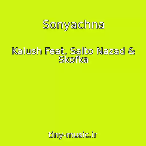کاور آهنگ Sonyachna از Kalush Feat. Salto Nazad & Skofka