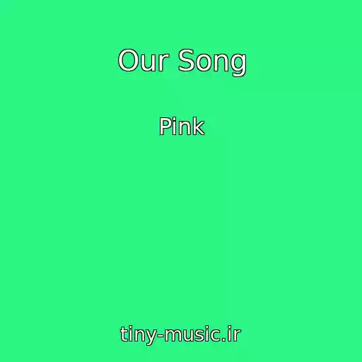 کاور آهنگ Our Song از Pink