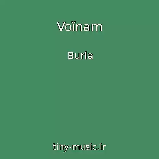 کاور آهنگ Voїnam از Burla