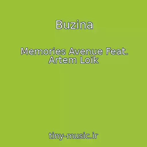 کاور آهنگ Buzina از Memories Avenue Feat. Artem Loіk