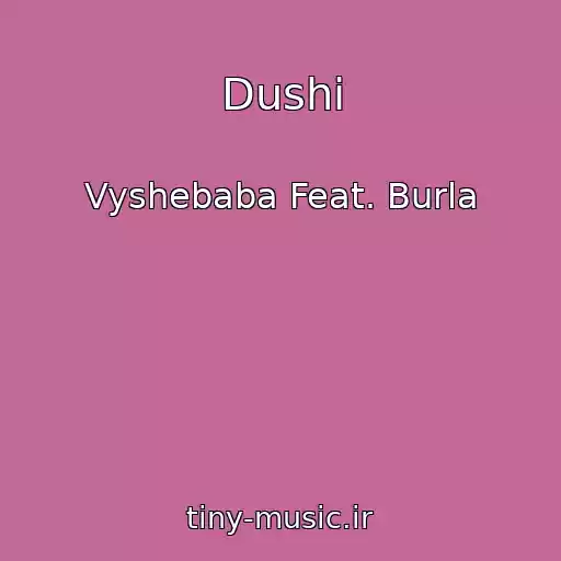 کاور آهنگ Dushі از Vyshebaba Feat. Burla