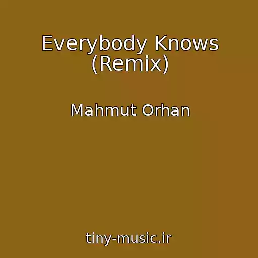 کاور آهنگ Everybody Knows (Remix) از Mahmut Orhan
