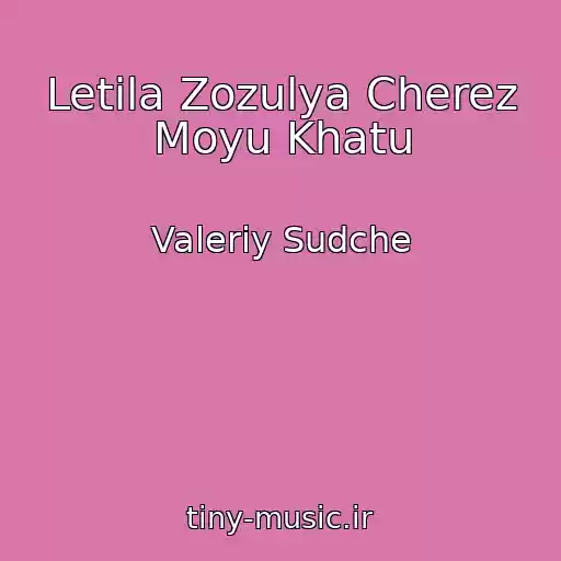 کاور آهنگ Letіla Zozulya Cherez Moyu Khatu از Valerіy Sudche