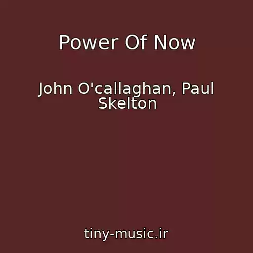 کاور آهنگ Power Of Now از John O'callaghan, Paul Skelton