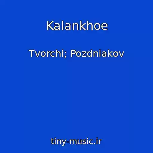 کاور آهنگ Kalankhoe از Tvorchi; Pozdniakov