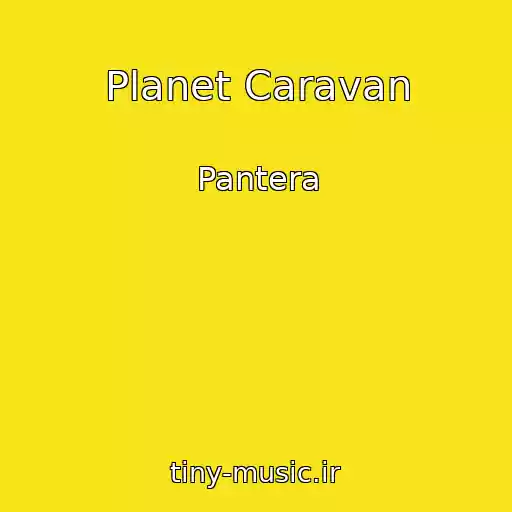 کاور آهنگ Planet Caravan از Pantera