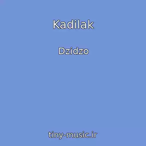 کاور آهنگ Kadіlak از Dzіdzo