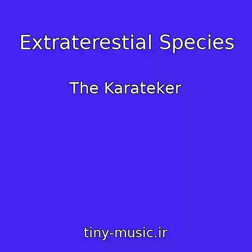 کاور آهنگ Extraterestial Species از The Karateker