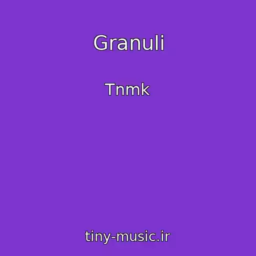 کاور آهنگ Granuli از Tnmk