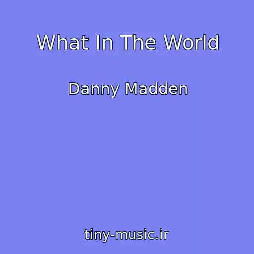کاور آهنگ What In The World از Danny Madden