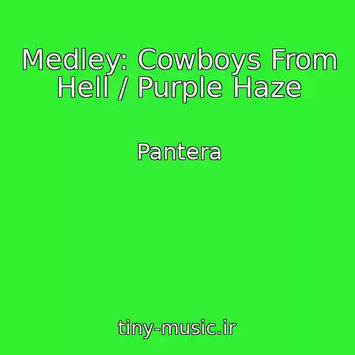 کاور آهنگ Medley: Cowboys From Hell / Purple Haze از Pantera