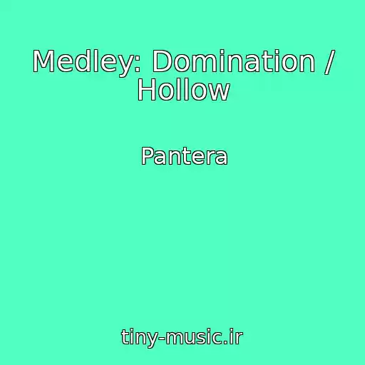 کاور آهنگ Medley: Domination / Hollow از Pantera