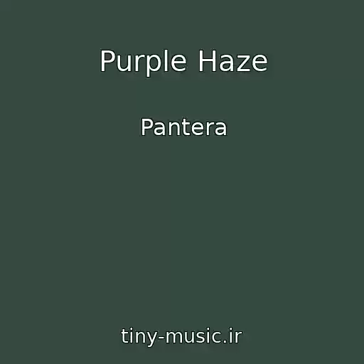 کاور آهنگ Purple Haze از Pantera