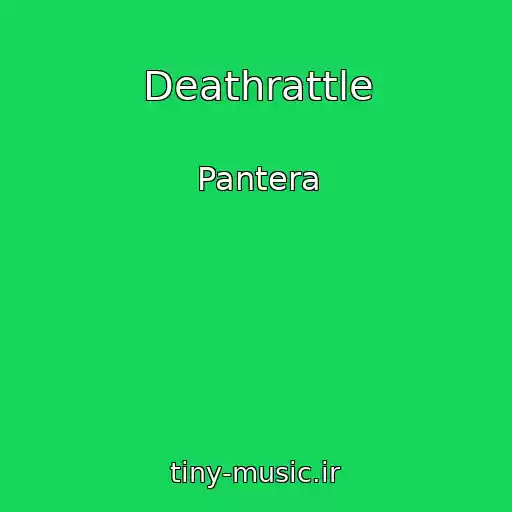 کاور آهنگ Deathrattle از Pantera